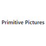 Primitive Pictures
