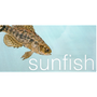 Sunfish