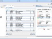 Query editor in generated Application