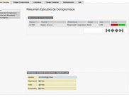 commitment_resume_1