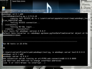 The ADO server runs on Windows