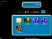 Una galeria con el skin BBlue y una carpeta