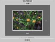 6. A single photo page of an exported album