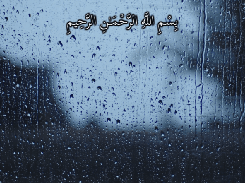 Player screen style 4