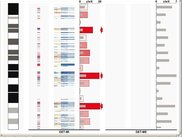 Chromosome ideogram graphical representation