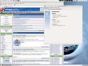 Debian Squeeze on AmigaOneSE