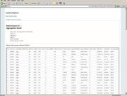 Real time web report generated from ad hoc parameters