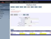 Typical zero-code data screen