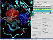Using APBS through VMD