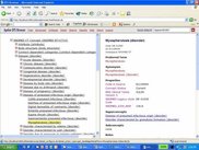 DTS Browser