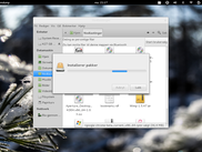 Installing Packages