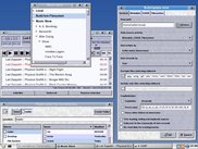 Default skin (Music Store builder)