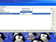 First screenshot
