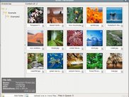 View the details of a file by a simple hover