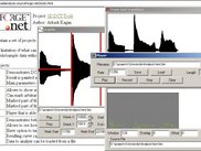 Play and record audio data as it is required by other tools.