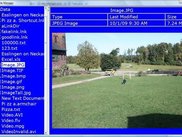 View an image file