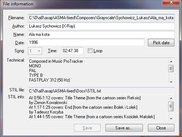 File Information dialog box