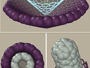 Nano structures examples 