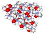 Protein Beta sheet