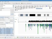 General view, with 2 tracks (SNP + genes)
