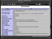 php environment variables under astahttpd v0.1 alpha