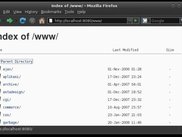 an example of alias and browsing directory support
