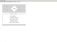 Menu based output screen on running program.