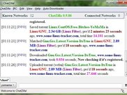 4. Client window