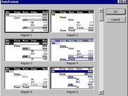 Pivot Report Formats 