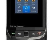 Blackberry Client (Main Screen)