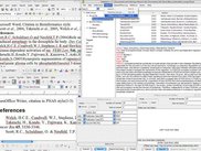 Bibus with MS Word, OOo, PubMed and eTBlast boxes