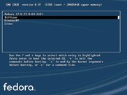 (1) Select BitVisor from the grub menu