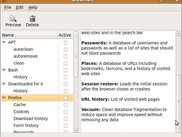 BleachBit 0.6.0 on Ubuntu 9.04 showing the Firefox preview