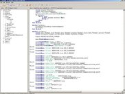 Main Code View