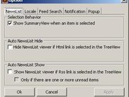 option window (english)