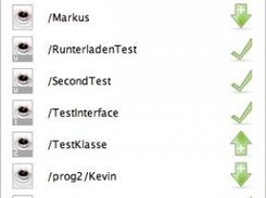 the difference view (between local and remote files)