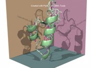 Created with bni-tools within PyMOL