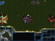 Startup units test