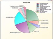 Budget distribution for month