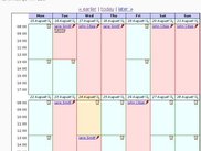 Calendar view of an instrument's bookings