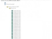 The webbased offline browser (italian)