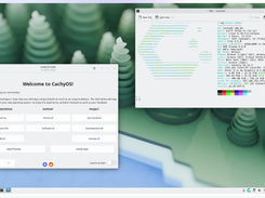 CachyOS Screenshot 1
