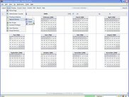 Calendar Year View 