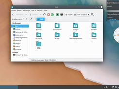 camerubuntu-kde-20.04-desktop Screenshot 5