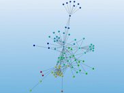Network graph