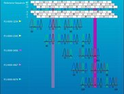 Genome browser