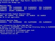 Caracals Blue Screen of Death!