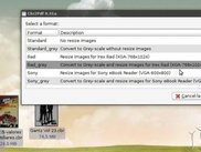 Select output format