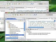 6. Ceno Package Explorer Decoration