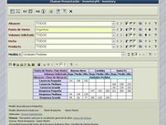 Viewer Page - Pivot table projection with some filters
